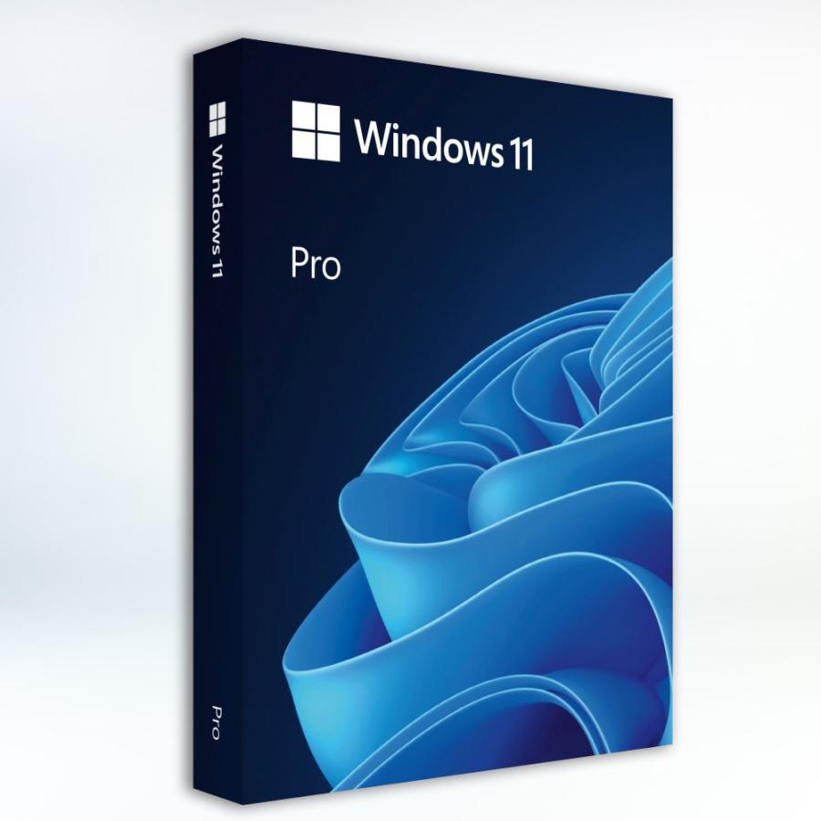 Phần mềm Win 11 Pro 64Bit Engl Intl 1pk DSP OEI DVD (FQC-10528)